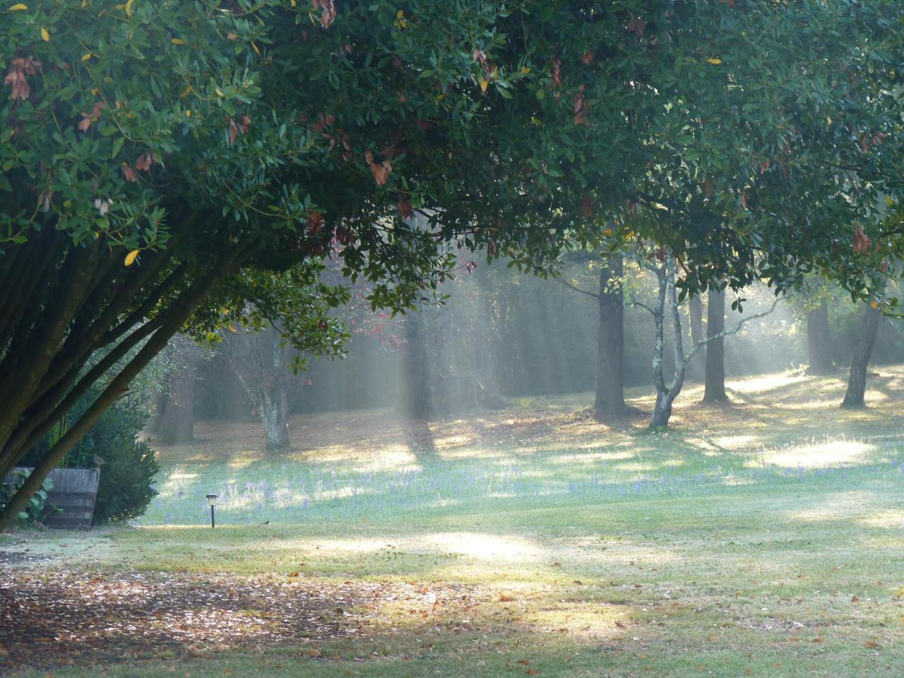 Domaine Du Champ Fleuri 5* Angoulême